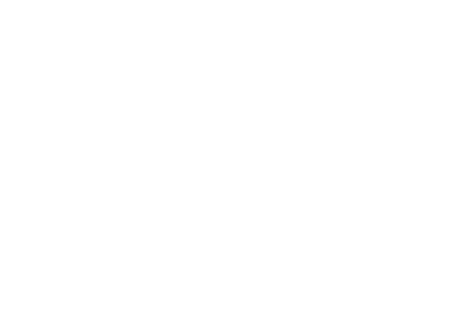 Bomberry | Frozen raspberries dipped in Belgian chocolate