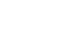 Bomberry | Frozen raspberries dipped in Belgian chocolate