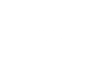 Bomberry | Frozen raspberries dipped in Belgian chocolate