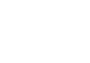 Bomberry | Frozen raspberries dipped in Belgian chocolate