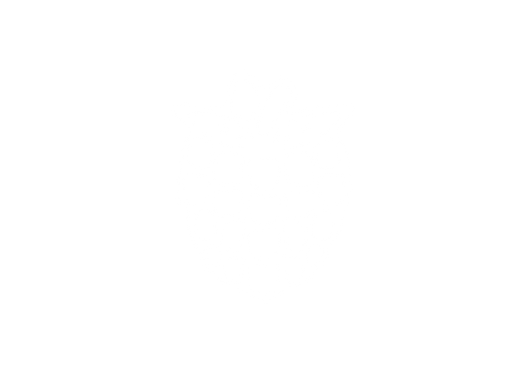 Bomberry | Frozen raspberries dipped in Belgian chocolate